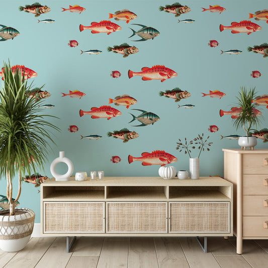 Fish wallpaper | Colourful on sky blue background